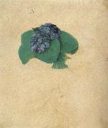 Albrecht Durer A Nosegay of Violets painting